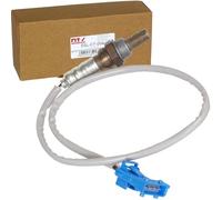 NTY Lambdasonde ESL-CT-004