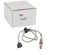 NTY Lambdasonde ESL-MS-001