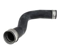 NTY Manguera de Carga de Aire Turboschlauch para Mercedes-Benz Clase E W211 S211