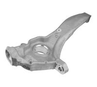 NTY Mangueta Suspensión Delantero Izquierdo Apto para Land Rover Range IV 2.2