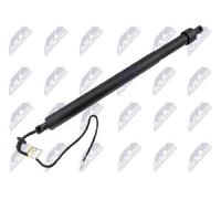 NTY Motor Eléctrico Para Heckklappe Izquierda AE-PE-050 Para Peugeot