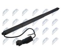 NTY Motor Eléctrico para Puerta Trasera Heckklappe AE-WW-116 para VW