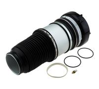 NTY Muelle de Aire Chasis Delantero Derecho para Audi A6 Allroad 4FH C6 3.0Tdi