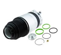 NTY Muelle de Aire Chasis Delantero Derecho para Volvo XC90 II 256 D5 AWD T8
