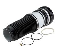 NTY Muelle de Aire Suspensión Delantero Izquierdo para Audi A6 Allroad 4FH C6