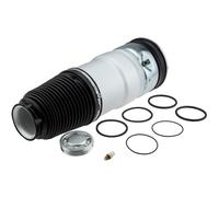 NTY Muelle de Aire Suspensión Eje Delant. Ambos Lados para Tesla Modelo S 5YJS