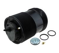 NTY Muelle de Aire Suspensión Eje Izquierda para Audi Q7 4M 3.0Tdi SQ7 4MB