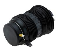 NTY Muelle de Aire Suspensión Eje Trasero Ambos para Porsche Panamera 970 4.8 4S