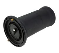 NTY Muelle de Aire Suspensión Trasero Izquierdo para Land Rover Discovery II Lt