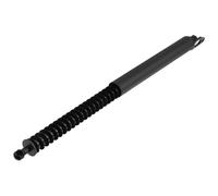 NTY Muelle de Gas Amortiguador Portón Trasero Izquierdo para BMW 7er E65 E66 E67