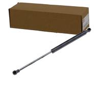 NTY Muelle de gas, caja fuerte AE-AU-063