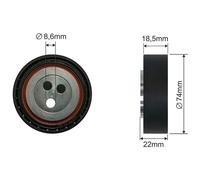 NTY Palmo Correas Acanaladas Rollo para Fiat Ducato Plataforma / Chasis 250_