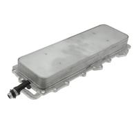 NTY Radiador Aceite de Motor para Jaguar F-Pace X761 5.0 Svr AWD Xk Cabrio _ J43