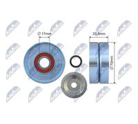 NTY Rodillo De Tensión Para Nissan Pathfinder III R51 3.0 DCI