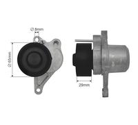 NTY Rodillo De Tensión Para Renault Master III Furgón FV 2.3 DCI 135