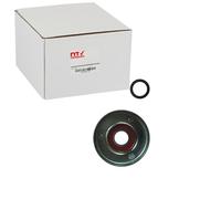 NTY Rodillo tensor (correa trapezoidal acanalada) RNK-TY-000