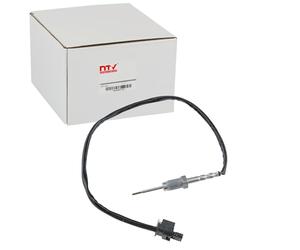 NTY Sensor, Abgastemperatur EGT-BM-004
