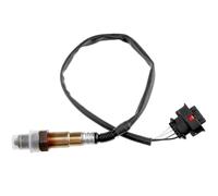 NTY Sonda Lambda Diagnóstico para Opel Agila (A) 1.0 12V Astra G Cc F48 _ F08 _