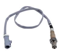 NTY Sonda Lambda Sonda Diagnóstico para Ford C-Max II Dxa / CB7 Ceù 1.0 Ecoboost