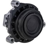 NTY Soporte De Motor Izquierdo Para BMW 3er Touring F31 320d 318d 1er F20