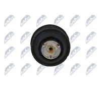 Soporte del motor derecha ZPS-ME-083 NTY para MERCEDES-BENZ CLASE C CLASE E CLK