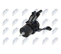 Cojinete de motor trasero para Nissan Murano 2 II Z51 3.5 V6 4x4 2007-2014