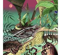 Nu Guinea - Tony Allen.. -Reissue- [Vinilo]