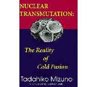 Nuclear Transmutation: The Reality of Cold Fusion