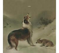 Nudge - As Good As Gone