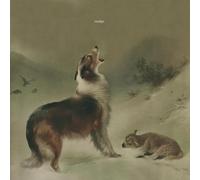 Nudge - As Good As Gone [Vinilo]