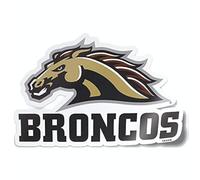 Nudge Printing Western Michigan University Broncos - Calcomanía para parachoques de coche o portátil