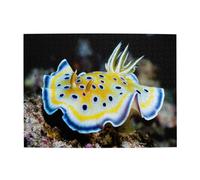 Nudibranquio del Mar Rojo - Rompecabezas de Madera para Adultos (500 Piezas)