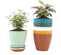 Nudorpn Macetas,Lote de 6 Macetas para Orquídeas y Suculentas - Maceteros de Interior,para Invernadero Navidad Hogar Baño Cocina Dormitorio Balcón Patio