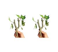 NUEAYMS 2 ramas trepadoras realistas para reptiles, cangrejos ermitaños, geckos crestas, decoración de hábitat, ejercicio seguro, paisaje, rama trepadora para reptiles