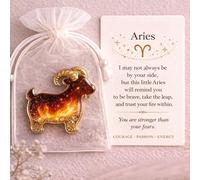 NUEAYMS Abrazo de bolsillo de los zodiacos con tarjetas inspiradoras, fichas de abrazo de bolsillo, regalo de relación de larga distancia para mujeres, hombres, él, sus fichas del zodiaco