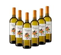 Nueva Añada Flor Innata Caja de 6, Vino Blanco Verdejo Rueda Valdecuevas, x6, 750 ml, Coupage Verdejo y Sauvignon Blanc 6 botellas