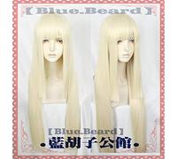 NUEVA LLEGADA 80 cm Juego FGO Fate Grand Order Cosplay Pelucas Sima Yi Reines Cosplay Peluca Sintética Resistente al Calor Cabello Fiesta de Halloween