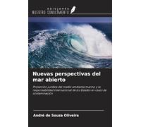 Nuevas perspectivas del mar abierto: Protección jurídica del medio ambiente marino y la responsabilidad internacional de los Estados en casos de contaminación