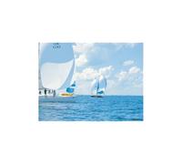 NUEVO 2024 - REPAIRTAPE ROJO 4.5 mt x 50 mm.