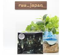 Nuevo Final Fantasy VII Original Soundtrack GAME MUSIC 4 CD SET Square Enix