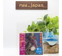 Nuevo JOE WALSH LO MEJOR DE Joe Walsh JAPÓN MQA UHQ MINI LP CD HI-RES Audio