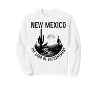 Nuevo México La Tierra del Encantamiento Roadrunner Cactus Vintage Sudadera