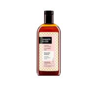 Nuggela & Sulé Champú Reparador Keratina 250ml