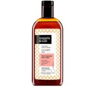 Nuggela & Sulé Champú Seborregulador 250 ml