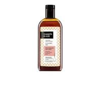 Nuggela & Sulé Champú Seborregulador Cabello Graso 250 ml