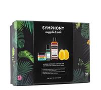 Nuggela & Sulé Symphony Estuche // Precio, Comprar n/a Contenido del Estuche: Champú Premium Nº 1 Cebolla 250 ml + Bruma Capilar 53 ml + Mascarilla South Beach 50 ml + Cepillo