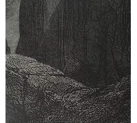 Null - Entity [Vinilo]