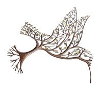 NULYLU Decoración Colgante de Pared de Colibrí en Hierro para Jardín y Patio, Arte Metálico Resistente para Exteriores, Diseño Clásico y Colorido para Paredes al Aire Libre