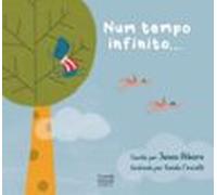 Num Tempo Infinito... (ebook)