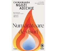 Numaratoare de visuri - Chimamanda Ngozi Adichie, Anansi, Editie in limba romana